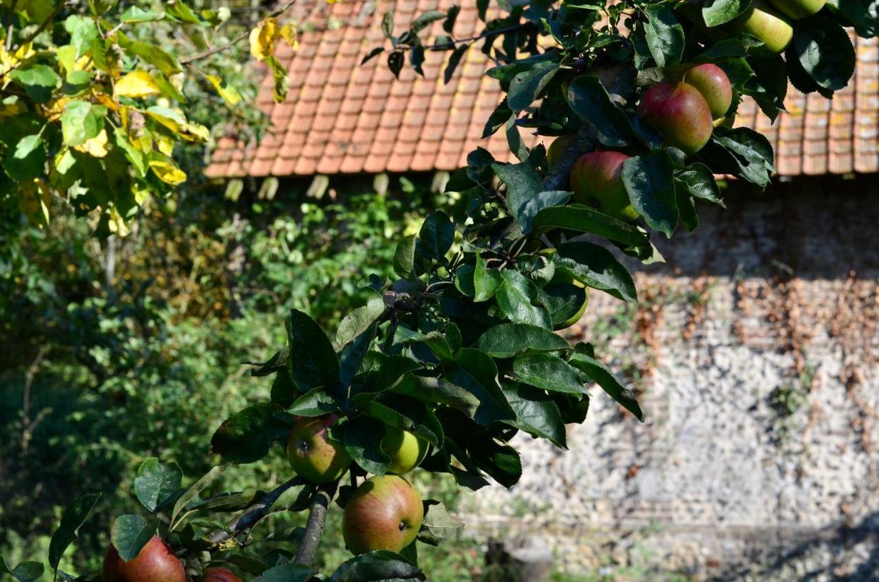 Forest-Montiers B&B La Tour Blanche מראה חיצוני תמונה